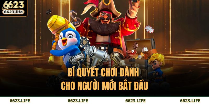 Bí quyết chơi dành cho người mới bắt đầu