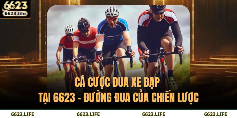 cá cược đua xe đạp