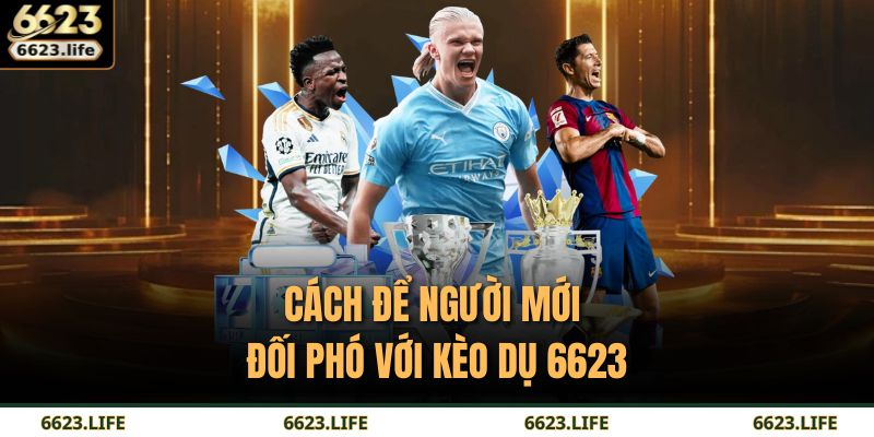 Cách để thực chiến hiệu quả khi tham gia vào kèo dụ 6623