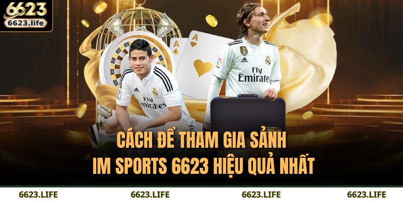 Cách để tham gia sảnh IM Sports 6623 hiệu quả nhất