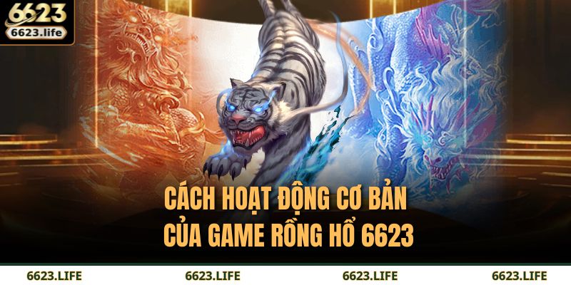 Cách hoạt động cơ bản của game Rồng Hổ 6623