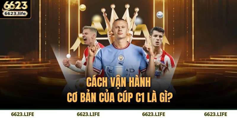 Cách vận hành cơ bản của Cúp C1 là gì?