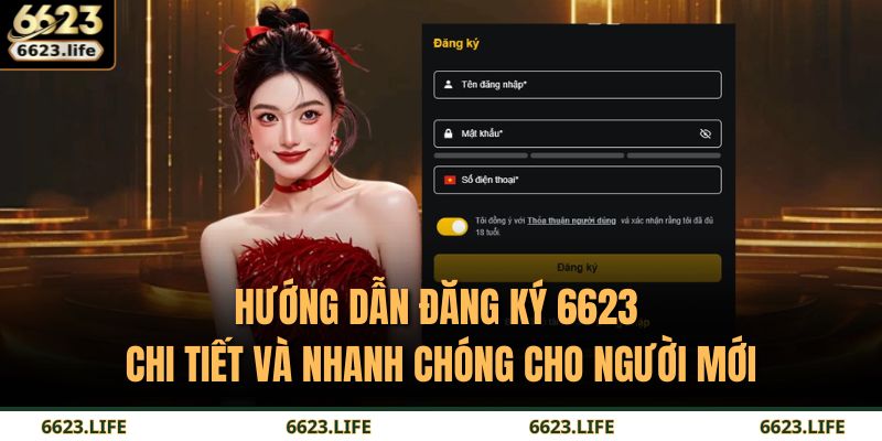 đăng ký 6623