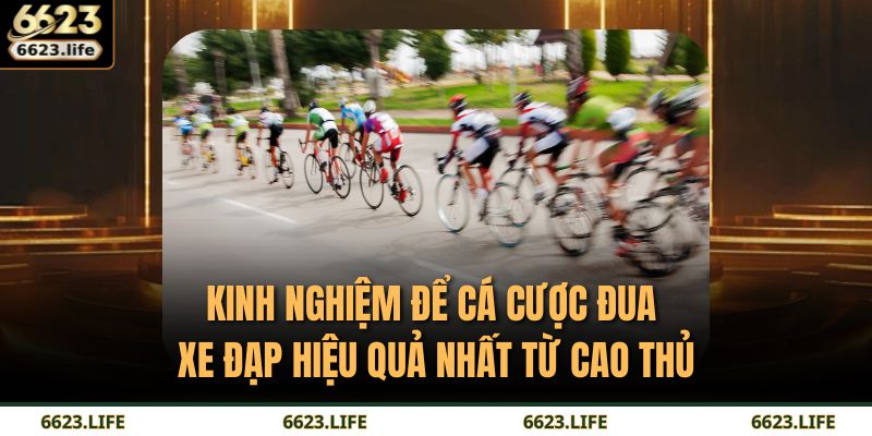 Kinh nghiệm để cá cược đua xe đạp hiệu quả nhất từ cao thủ