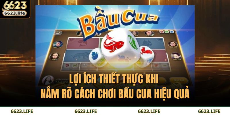Lợi ích thiết thực khi nắm rõ cách chơi Bầu Cua hiệu quả